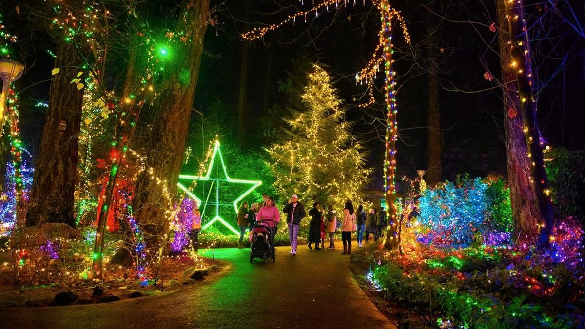 Christmas Festival of Lights 2023 at The Grotto (the National Sanctuary