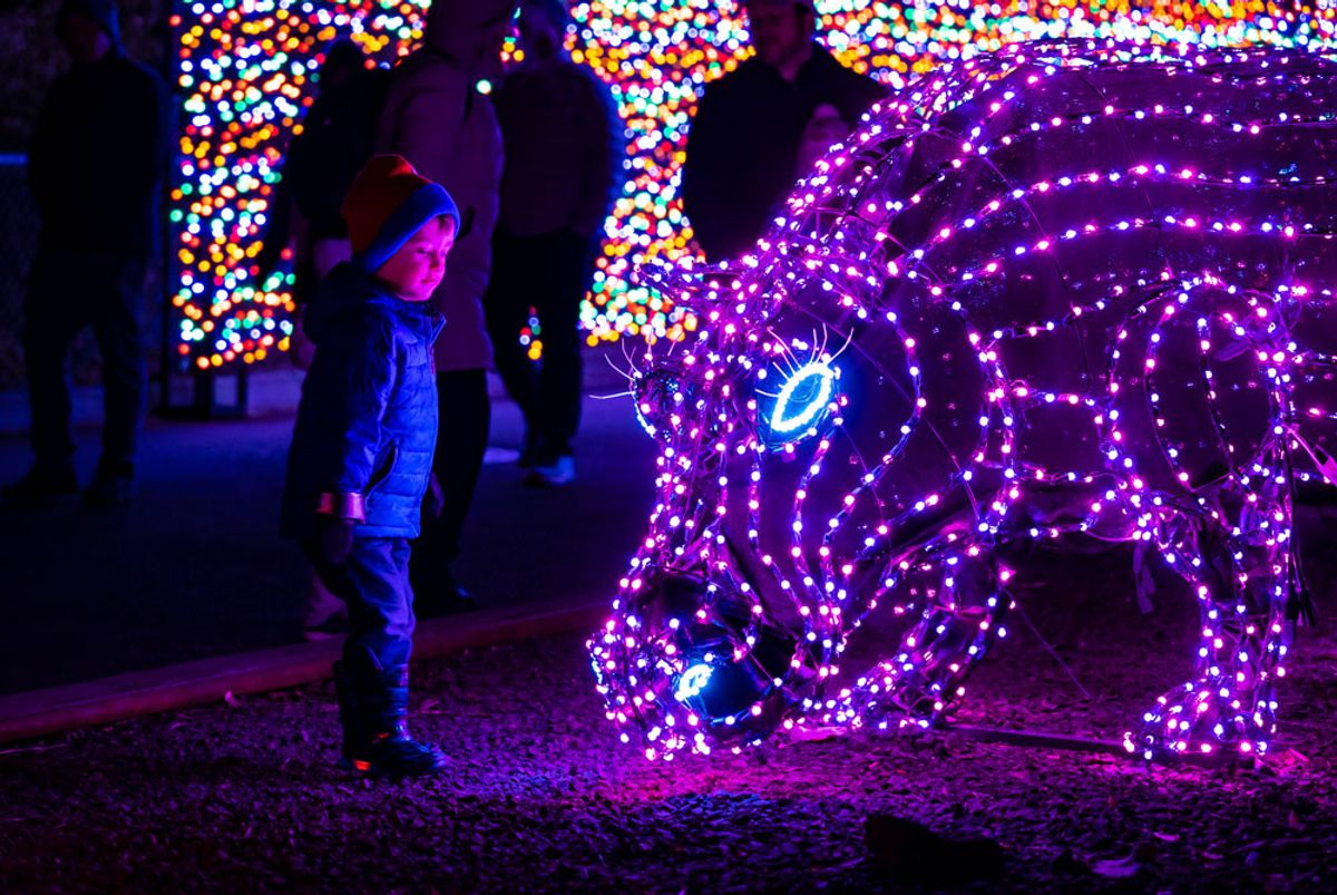 Zoo Lights at Oregon Zoo in Portland, OR Multiple dates through