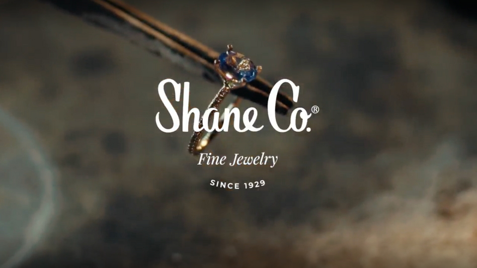 Shane and hot sale company jewelry