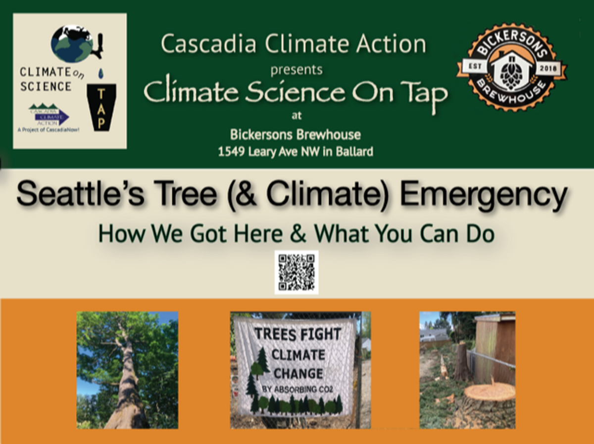 西雅图Bickersons Brewhouse发生的树木（和气候）紧急情况-星期二，10月24日