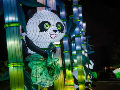 November brings an end to Daylight Savings Time, but Seattle's plentiful holiday light displays&mdash;like <a class="event-header fw-bold" href="https://everout.com/seattle/events/wildlanterns-2023/e155162/">WildLanterns</a> at the zoo&mdash;keep the nights bright.
