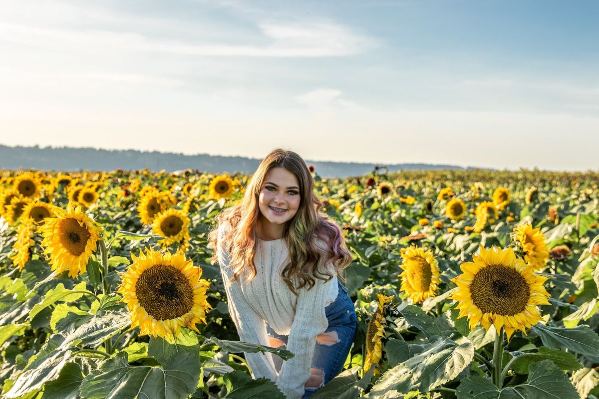 2020 Sunflower Fields at Stocker Farms in Snohomish, WA Multiple