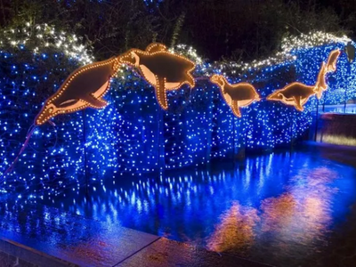 Drive or walk through the Oregon Zoo's <a href="https://everout.com/portland-mercury/events/zoolights/e38304/">ZooLights</a> display when you need a reminder of what's good in the world (magical penguins).
