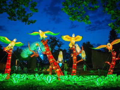 The Woodland Park Zoo's <a href="https://everout.com/stranger-seattle/events/wildlanterns/e38262/">WildLanterns</a> will bring exotic birds, majestic carnivores, and aquatic creatures to life starting November 13.