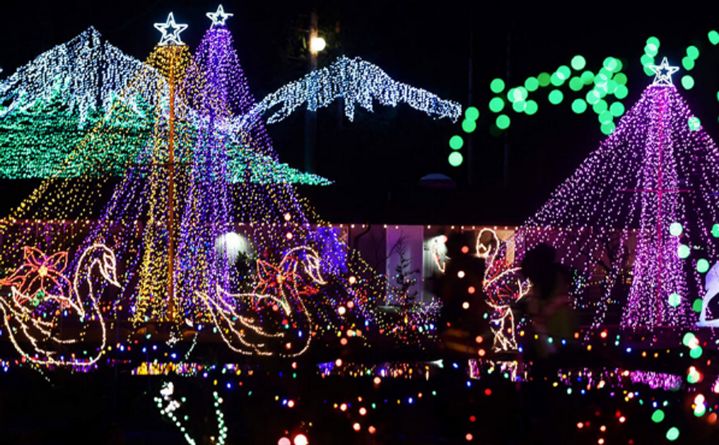 Where to See Holiday Light Displays in Seattle COVIDFriendly 2020 Edition EverOut Seattle