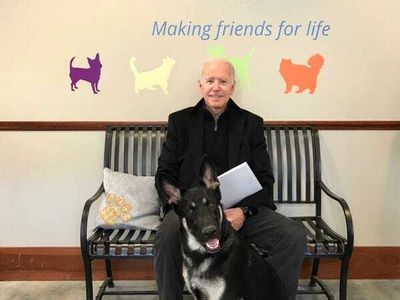 Before Joe Biden the human gets sworn in as the 46th President of the United States next week, pay tribute to incoming First Dog Major Biden at a <a href="https://everout.com/portland-mercury/events/major-bidens-virtual-indoguration-party/e40375/">Virtual Indoguration Party</a> with the Delaware Humane Association this Sunday.