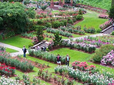 International Rose Test Garden