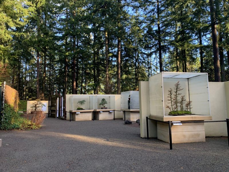 Pacific Bonsai Museum - 2515 S 336th St - Garden - Federal Way, WA -  EverOut Seattle
