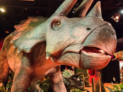 OMSI's newest exhibition, <a href="https://everout.com/portland/events/dinosaurs-revealed/e55060/"><em>Dinosaurs Revealed</em></a>, opens this Saturday! While tickets are sold out for this weekend, you can still go see the museum's other attractions, or you can try again another weekend&mdash;the dinos aren't going anywhere until September.