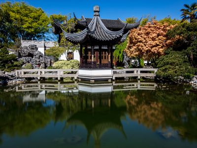 In addition to admiring the <a href="https://everout.com/locations/lan-su-chinese-garden/l28245/">Lan Su Chinese Garden</a>'s rare Chinese native plants and traditional stonework in person, read on for a link to their list of Portland-based AAPI organizations accepting donations.