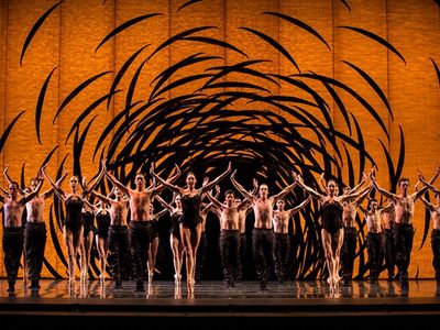 Don't miss the Pacific Northwest Ballet's <i><a href="https://www.thestranger.com/events/25640143/emergence">Emergence</a></i>, choreographed by the Canadian genius Crystal Pite, in April.
