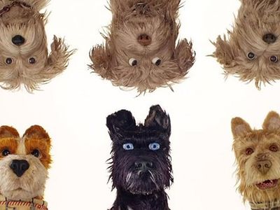 Don't miss the new Wes Anderson film <i><a href="https://www.thestranger.com/movies/25894119/isle-of-dogs">Isle of Dogs</a></i>, opening in Seattle in late March.