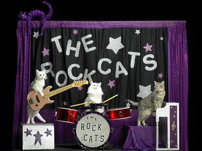 Get your mind blown and your world rocked by the circus-trained felines of the <a href="https://www.thestranger.com/events/39905525/the-amazing-acro-cats">Amazing Acro-cats</a> (featuring the musically talented Tuna and the Rock Cats) through Thursday.