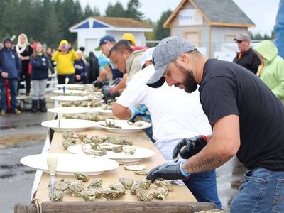 Get your bivalves, live music, and local microbrews at this weekend's <a href="https://www.thestranger.com/events/40855254/oysterfest">Oyster Fest</a> in Shelton.