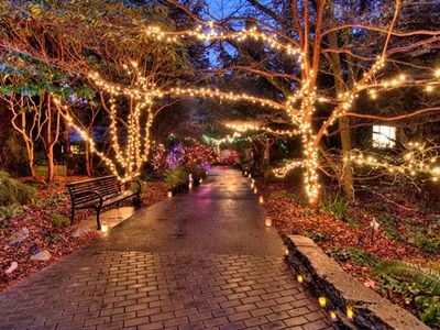 The Kruckeberg Botanic Garden will brighten up the darkest days of the year with the illuminated pathways of their annual <a href="https://www.thestranger.com/events/41976605/solstice-stroll">Solstice Stroll</a>.