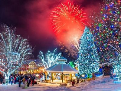 If you're digging the snow in Seattle, you'll be even more delighted by wintry activities like live ice carving and fireworks at this weekend's <a href="https://www.thestranger.com/events/41986023/bavarian-icefest">Bavarian IceFest</a> in Leavenworth.