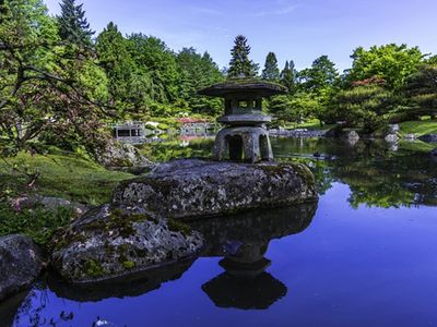 The <a href="https://everout.com/events/seattle-japanese-garden-reopening/e32934/">Seattle Japanese Garden</a> is back open! Face masks and advance tickets are required when you visit for hour-long strolls.