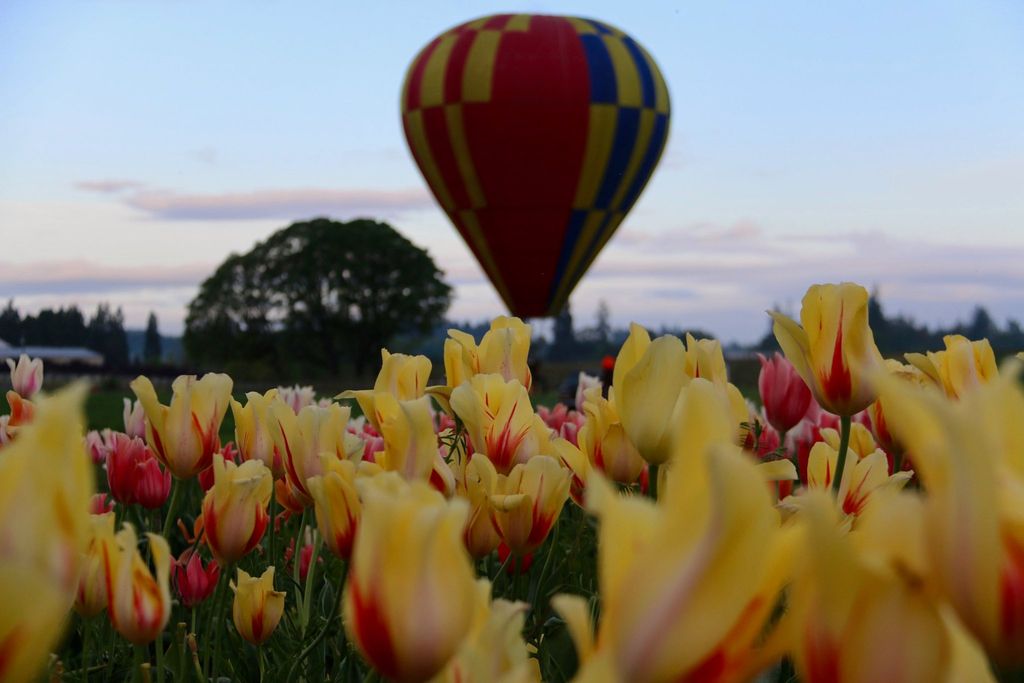 Your Guide to COVID-Safe Events in Portland This April 2021 - EverOut ...