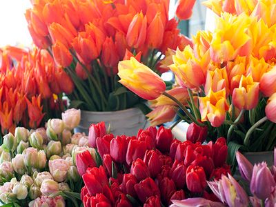 The <a href="https://everout.com/seattle/events/pike-place-market-flower-festival/e99863/">Pike Place Flower Festival</a> returns this Saturday and Sunday with even more fresh bouquets of tulips, daffodils, irises, and peonies than usual.