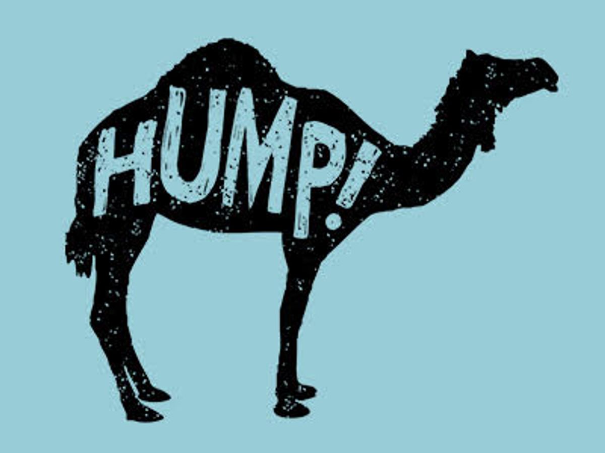 Joe Camel Hump Day