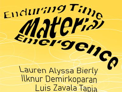 Enduring Time | Material Emergence