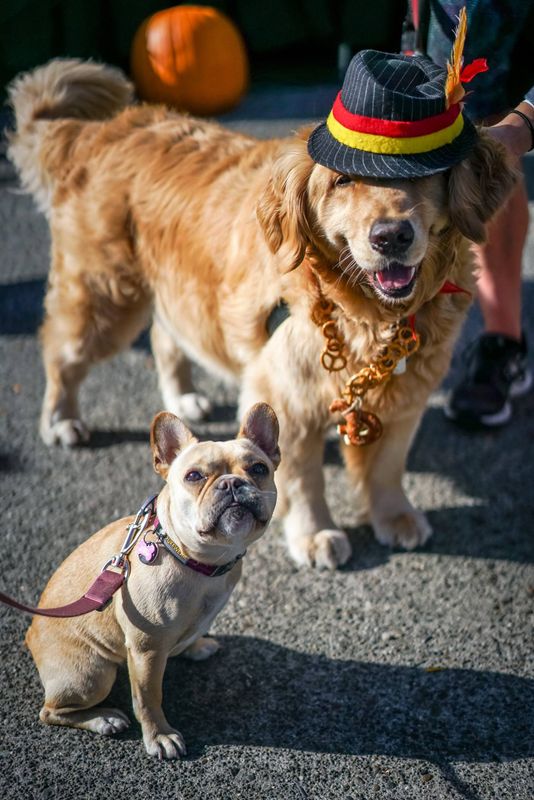 Your Guide to September 2021 Events in Seattle - EverOut Seattle