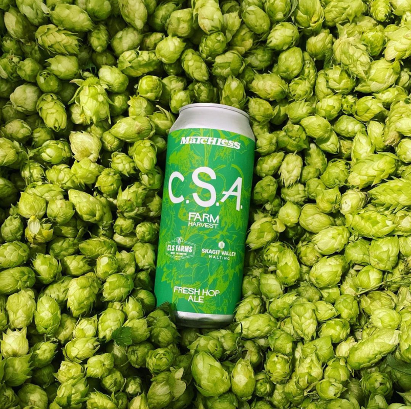 Where to Find Fresh Hop Beers in Seattle 2021 Edition EverOut Seattle