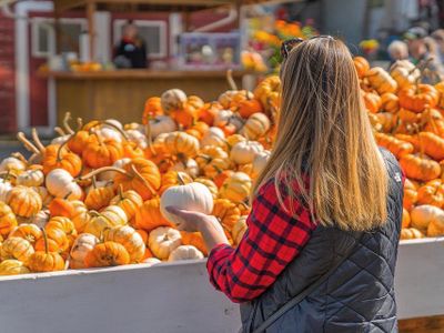 Roam over 50 acres of pumpkin patches and pick the perfect pumpkin at <a href="https://everout.com/stranger-seattle/locations/bobs-corn-and-pumpkin-farm/l25780/">Bob's Corn Maze and Pumpkin Farm</a> in Snohomish.