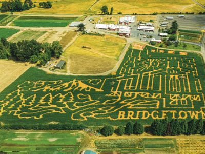 Put on some comfy shoes and have an a-maize-ing time at this perfectly manicured labyrinth at <a href="https://everout.com/portland/events/the-maize-at-the-pumpkin-patch/e104255/">The Pumpkin Patch</a>.