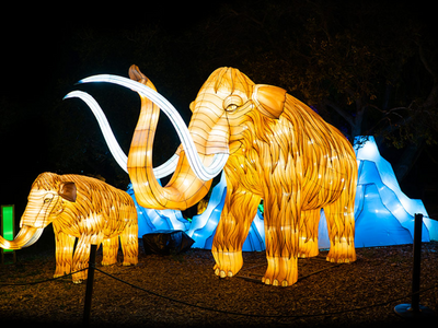It's time to get ready for the holidays: <a href="https://everout.com/seattle/events/wildlanterns-presented-by-becu/e103319/">WildLanterns</a> returns to the Woodland Park Zoo starting November 12.