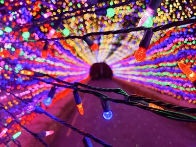 <strong><a class="event-header" href="https://everout.com/seattle/events/holiday-magic/e106914/">Holiday Magic</a>&nbsp;</strong>at the Puyallup fairgrounds has plenty of attractions worthy of a mini road trip, from a holiday light tunnel to the cozy Yeti Bar complete with a fire pit.