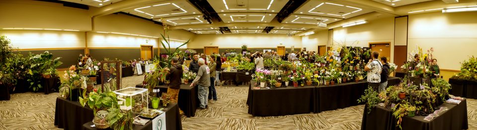 Indoor Plant Festival at Lynnwood Event Center in Lynnwood, WA ...