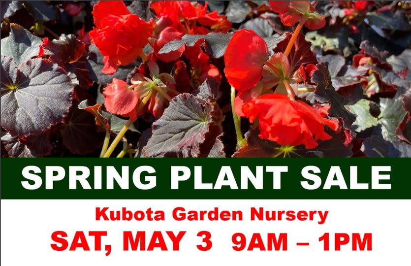 Kubota Garden Spring Plant Sale at Kubota Garden in Seattle, WA ...