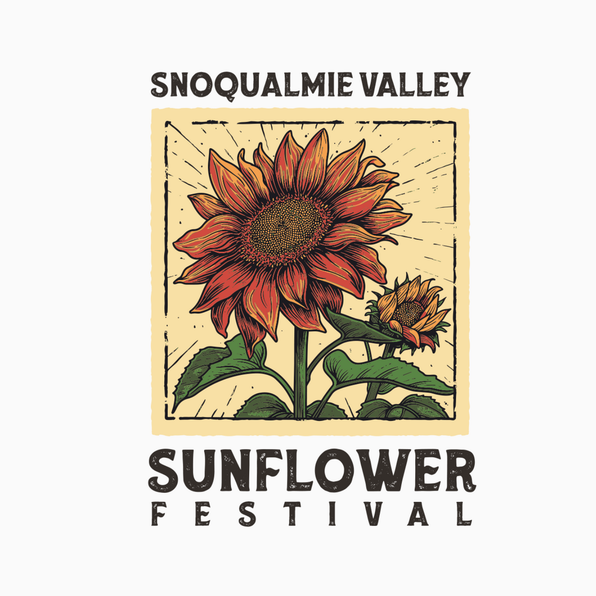 Snoqualmie Valley Sunflower Festival at Tolt Commons in Carnation , Wa ...
