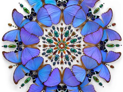 Christopher Marley: Exquisite Creatures