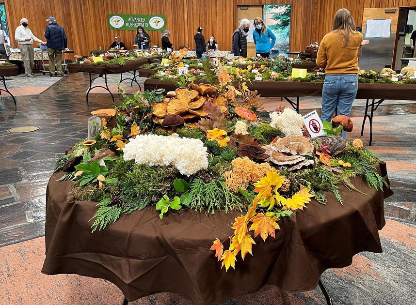 The Best Bang for Your Buck Events in Portland This Weekend: Oct 2426, 2025