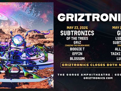 GRIZTRONICS