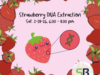 Strawberry DNA Extraction