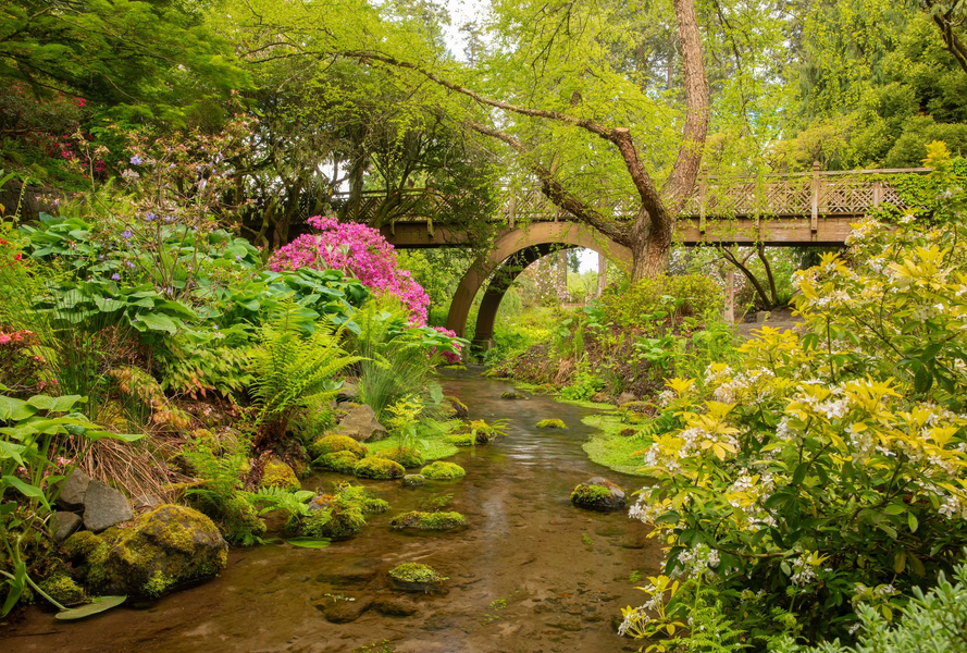Mother's Day Rhododendron Show and Sale at Crystal Springs Rhododendron  Garden in Portland, Oregon - Every day, through May 10 - EverOut Portland