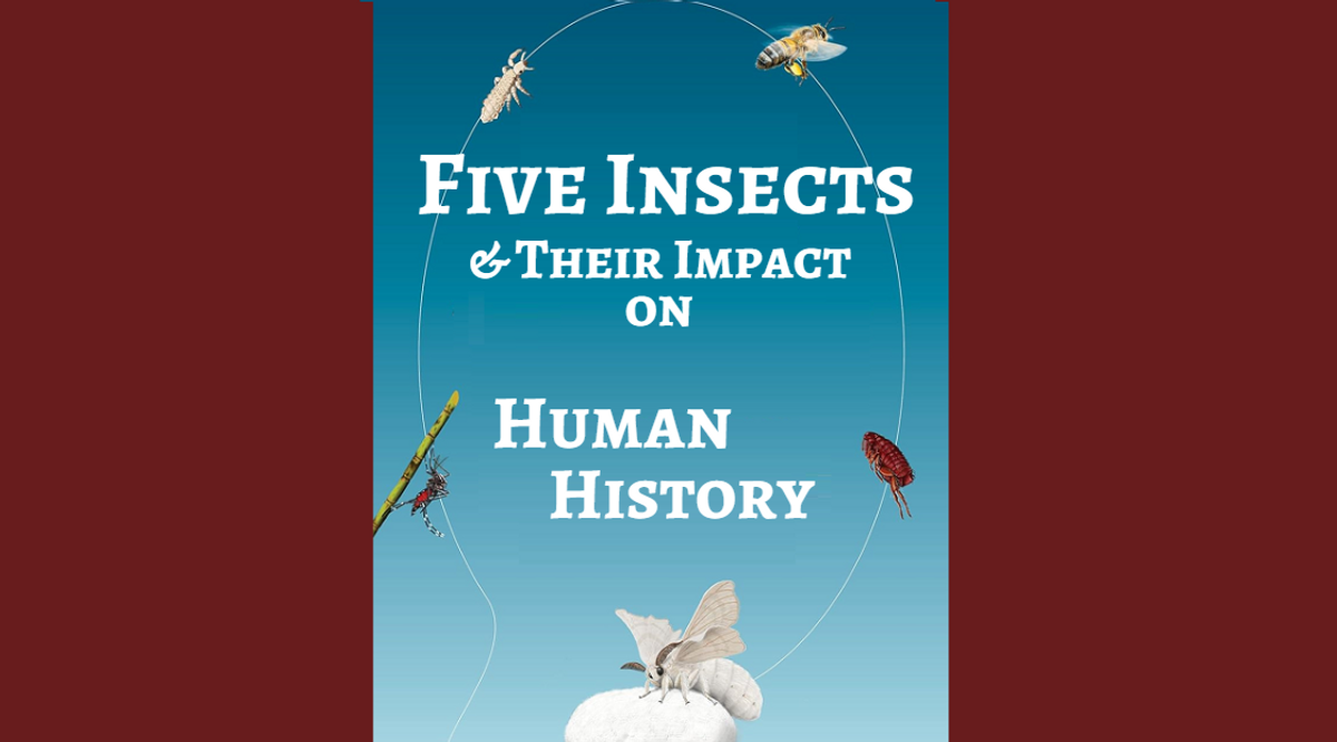 Science on Tap presents: The Silken Thread: Five Insects & Their ...