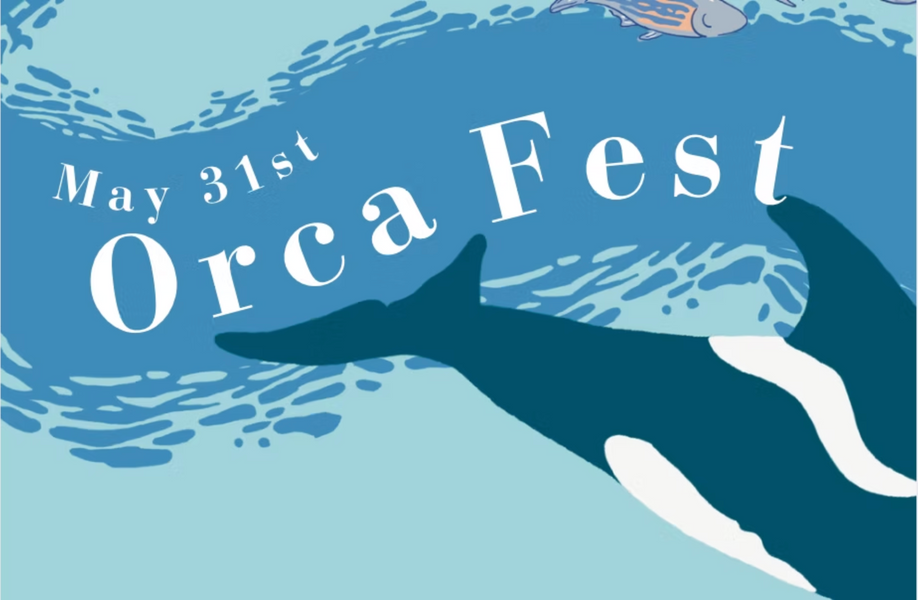 Orca Fest at KEXP in Seattle, WA - Sunday, May 31 - EverOut Seattle