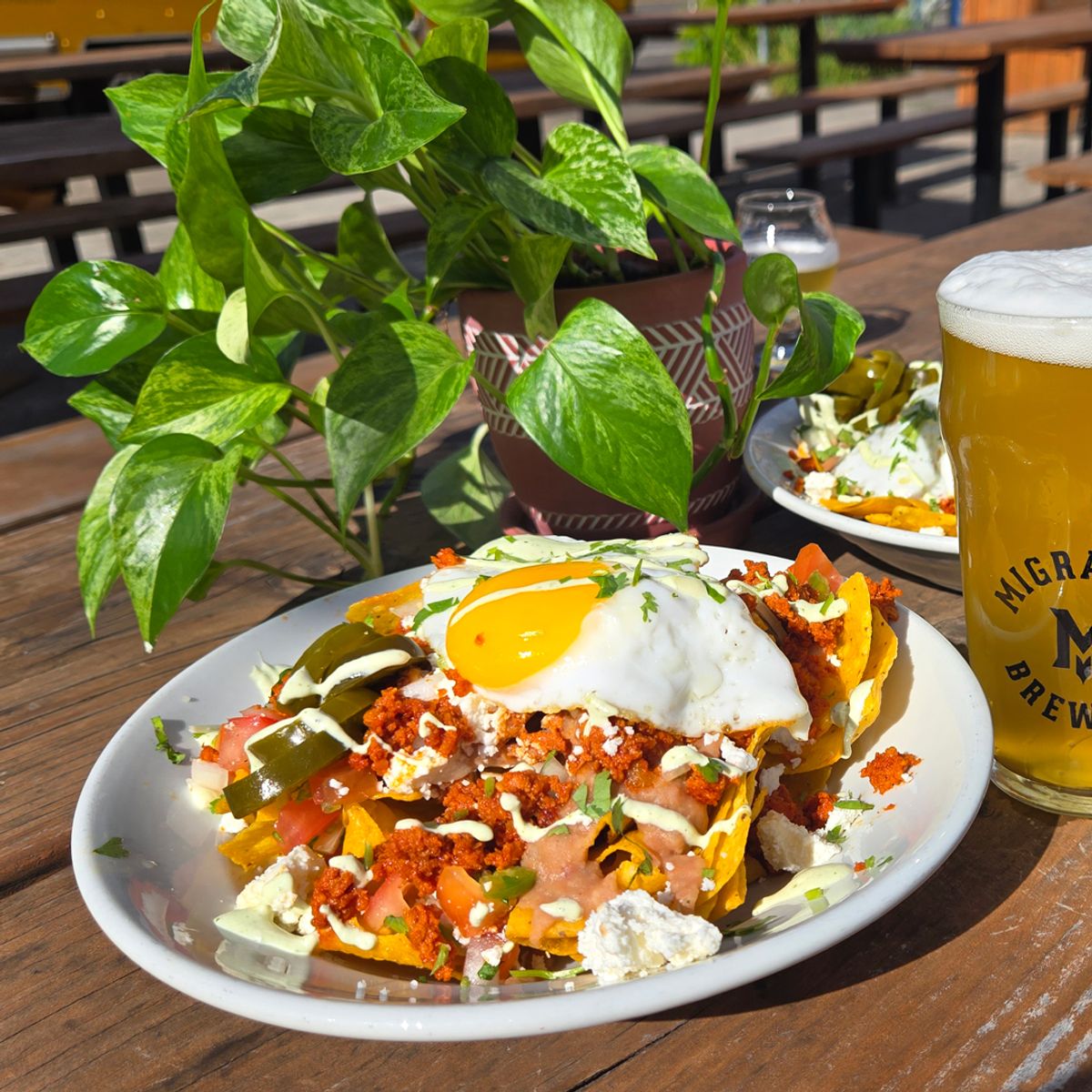 Nachos Rancheros @ Migration Brewing Co.