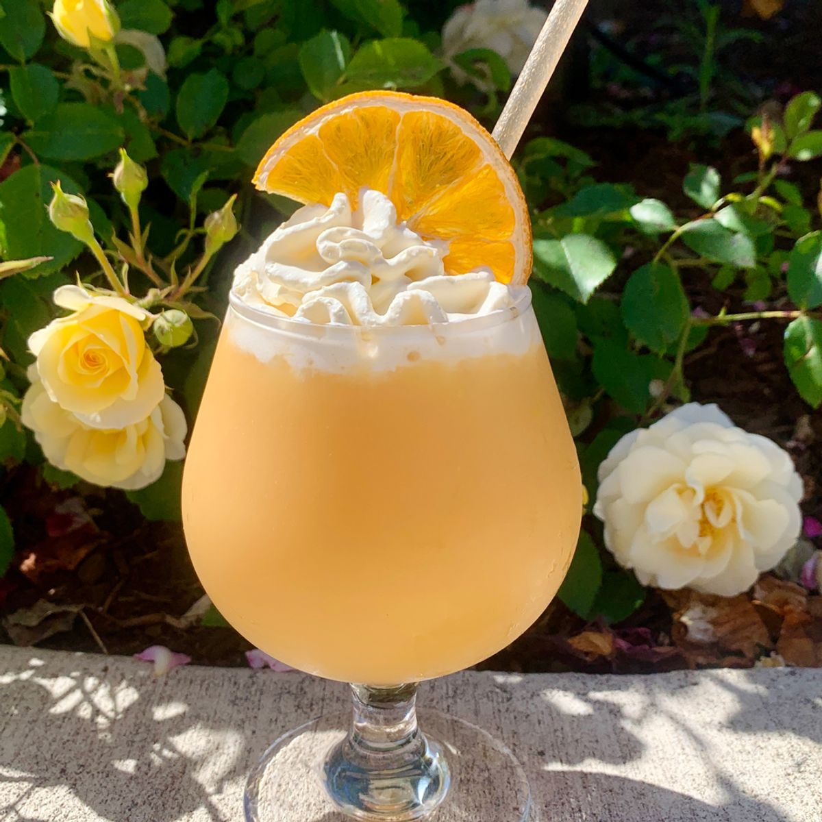 Orange Giulia @ The Sandy Jug