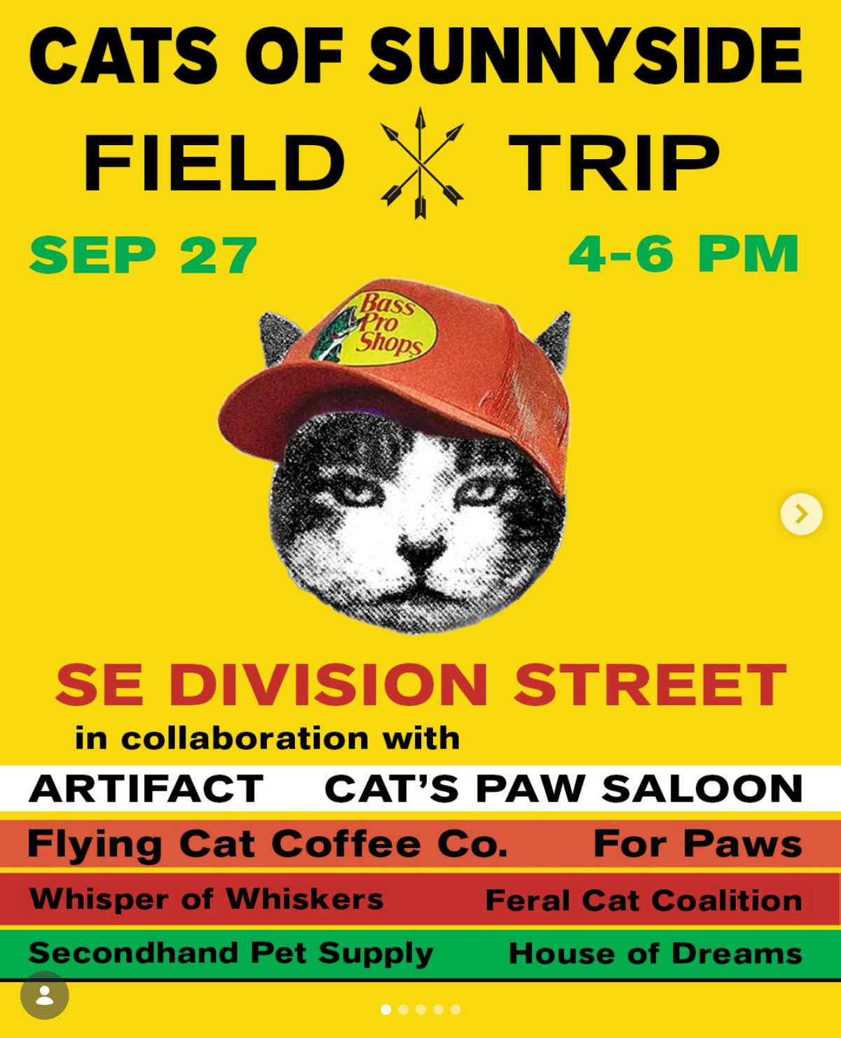 Cats of Sunnyside Field Trip at Artifact in Portland, Oregon - Sunday ...