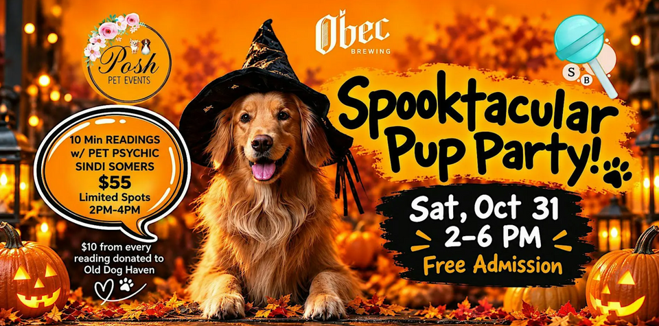Spooktacular Pup Party at Obec Brewing in Seattle, WA - Saturday ...
