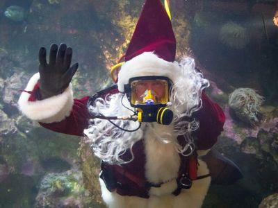 Diving Santa