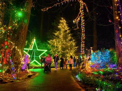 The Grotto's twinkly <a href="https://everout.com/portland/events/christmas-festival-of-lights-2023/e158576/">Christmas Festival of Lights</a> kicks off this weekend.