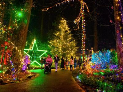 The Grotto's twinkly <a href=https://everout.com/portland/articles/