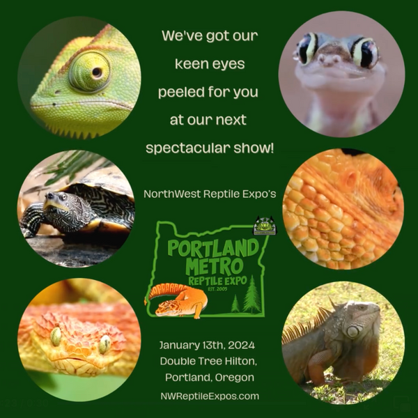 Portland Metro Reptile Expo at Doubletree Hotel (Lloyd Center) in