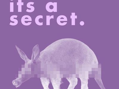 Secret Aardvark